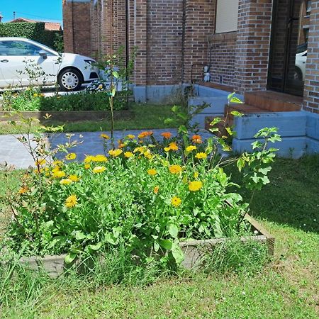 Casa Grande Con Jardin Villa Santa Cruz De Bezana Bagian luar foto